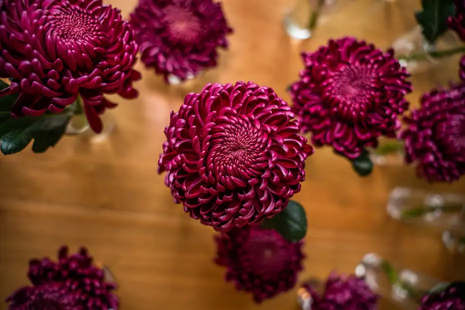 Brand content en boutique Compositions florales prêtes en boutique à Vannes