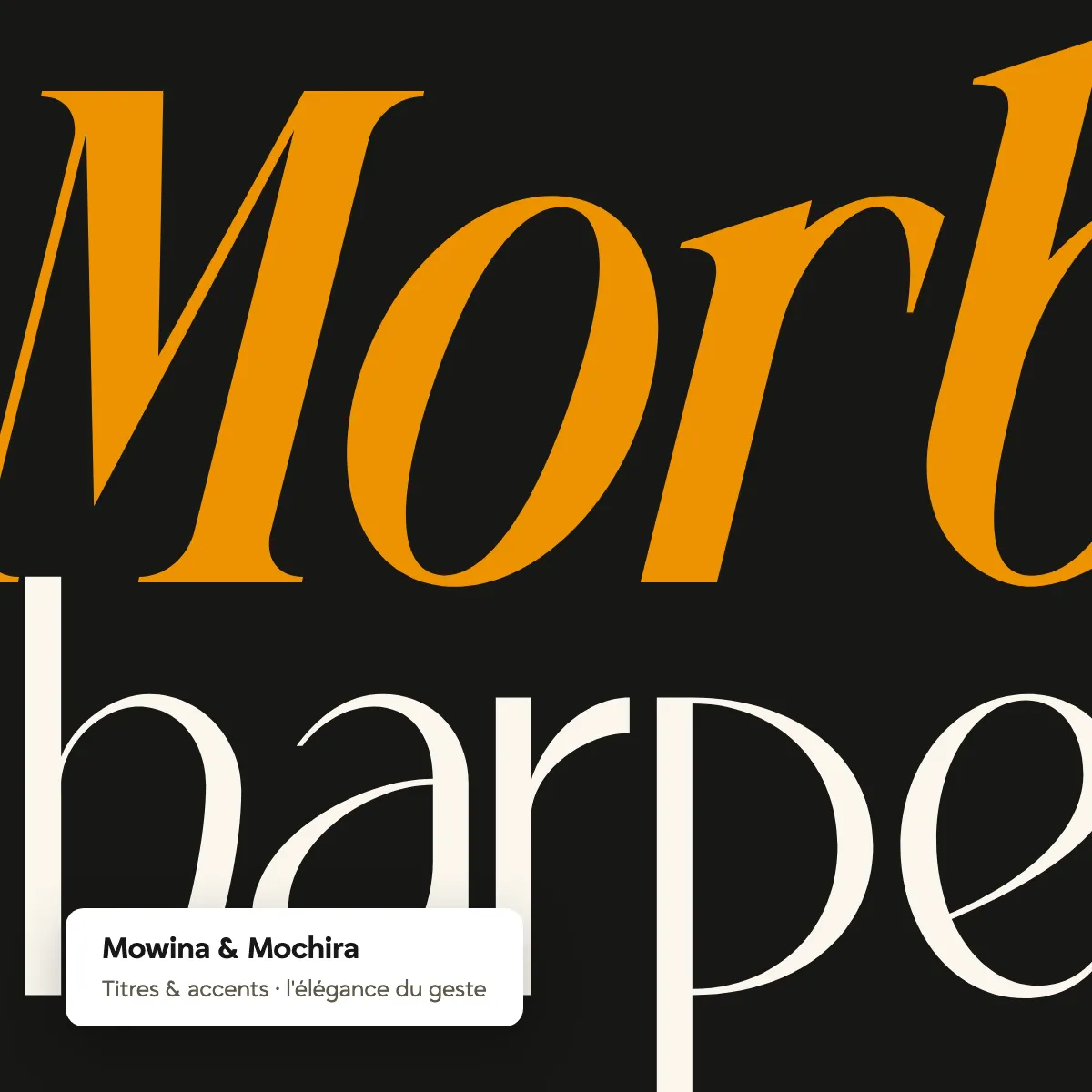 Typographies Mowina et Mochira utilisées pour les titres Le Quintrec Le Pallec
